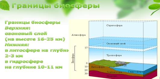 Граница биосферы в атмосфере находится. Границы биосферы. Границы биосферы рисунок. Верхняя граница биосферы находится на высоте. Слои биосферы рисунок.