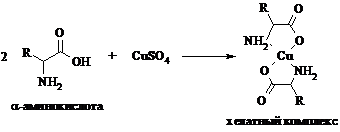 Глицин и гидроксид меди 2 реакция. Глицин и сульфат меди. Глицин плюс хлорид железа 3. Взаимодействие глицина с сульфатом меди 2. Глицин медный купорос Ацетат натрия реакция.