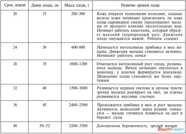 Разные сроки. Периоды внутриутробного развития таблица. Таблица внутриутробное развитие плода. Этапы внутриутробного развития и беременности таблица. Периоды развития плода по неделям таблица.