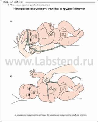 Алгоритм измерения окружности головы. Антропометрия грудного ребенка. Измерение окружности грудной клетки новорожденного алгоритм. Проведение антропометрии грудного ребенка. Проведение антропометрии у детей грудного возраста.