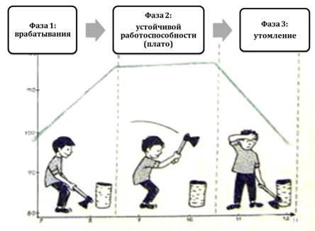 Что определяет работоспособность людей