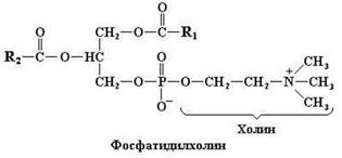 Картинки по запросу фосфатидилхолин формула