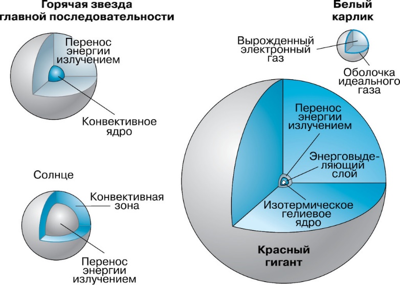 Внутреннее строение звезд составление систематизирующей схемы