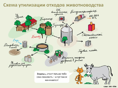 Утилизация отходов животноводства презентация