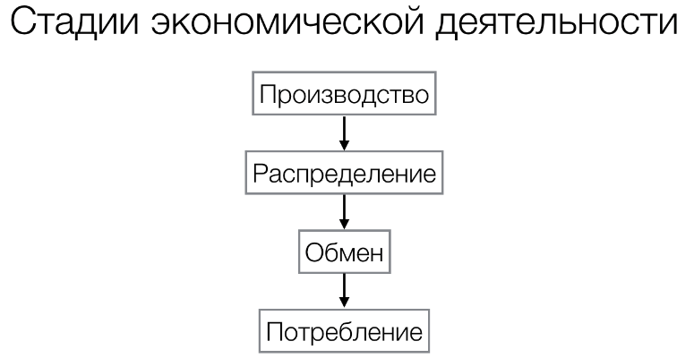 Как называется вторая фаза экономической деятельности. Этапы экономической деят. Стадиикономической деятельности. Этапы производства в экономике. Стадии деятельности экономики.