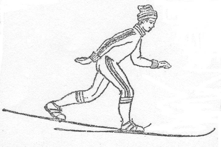 Передвижение скользящим шагом. Коньковый ход попеременный двухшажный шаг. Техника попеременного двухшажного хода без палок. Двухшажный скользящий ход на лыжах без палок. Ходьба на лыжах скользящим шагом.