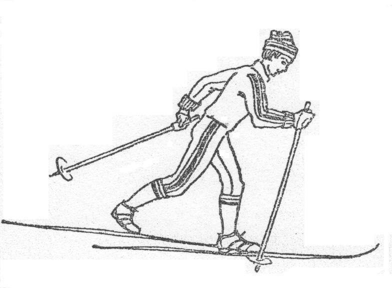 Передвижение скользящим шагом. Попеременный четырехшажный ход на лыжах. Попеременный двухшажный ход лыжник. Скользящий двухшажный ход. Попеременный двухшажный шаг на лыжах.