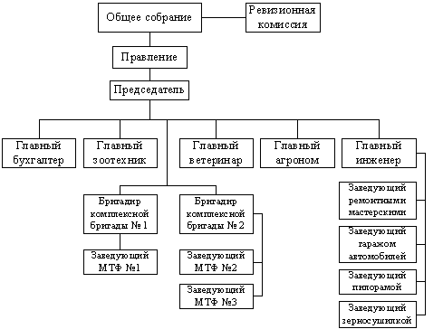 Структура управления птицефабрики схема