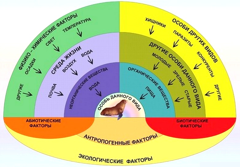 Взаимосвязи организмов и окружающей среды 9 класс презентация