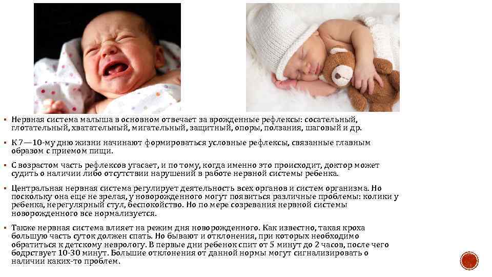 Центральная нервная система новорожденного