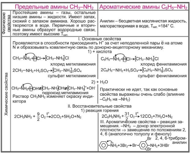 План конспект амины