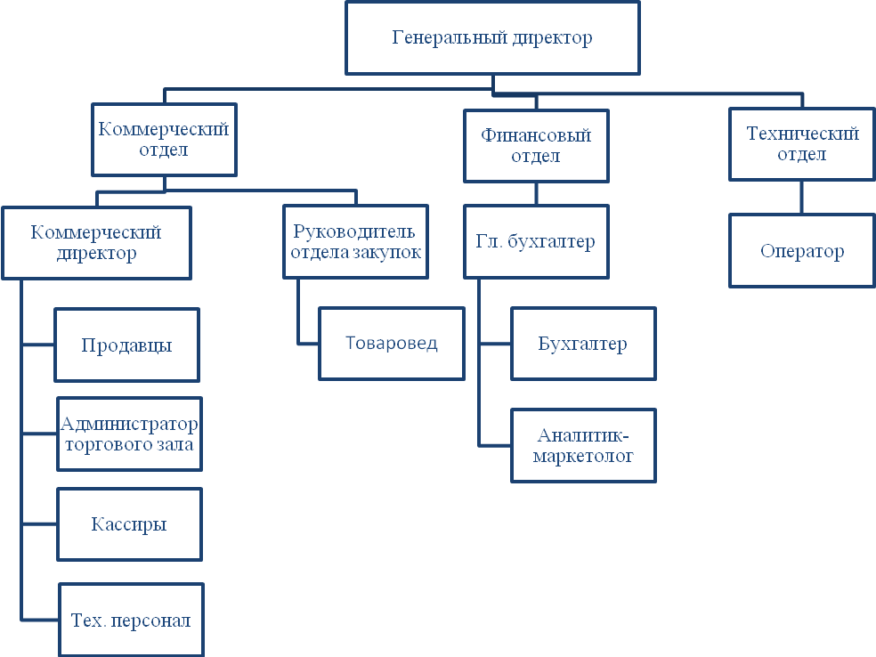 Должностная коммерческий директор. Схема управления коммерческой службы предприятия розничной торговли. Организационная структура предприятия торговли схема. Схема структуры управления торговой организации. Структура коммерческой службы организации схема.