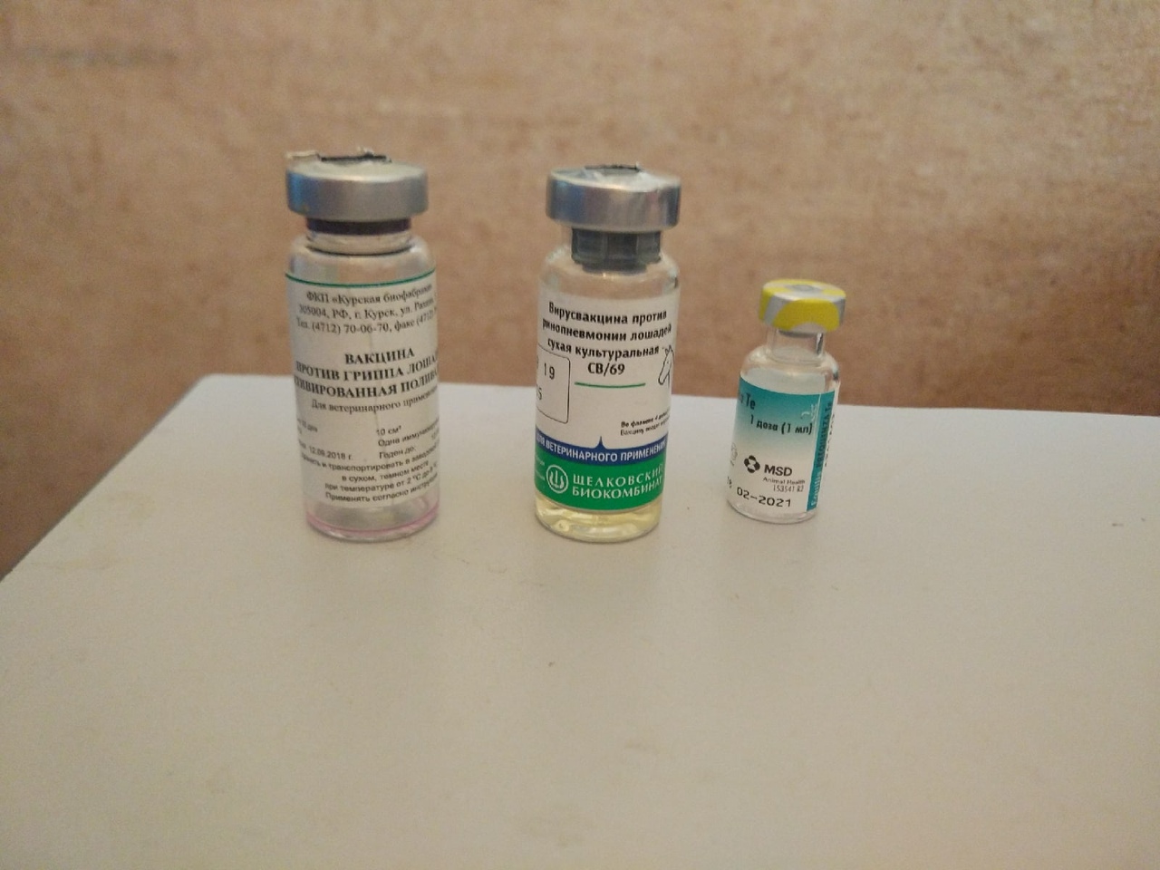 Вакцина живая против сибирской язвы