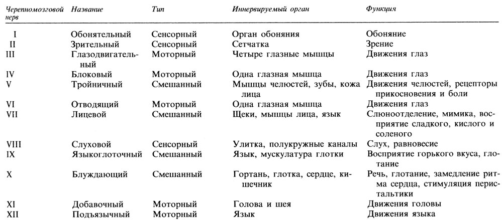 Поражение черепно мозговых нервов и их ядер дают картину