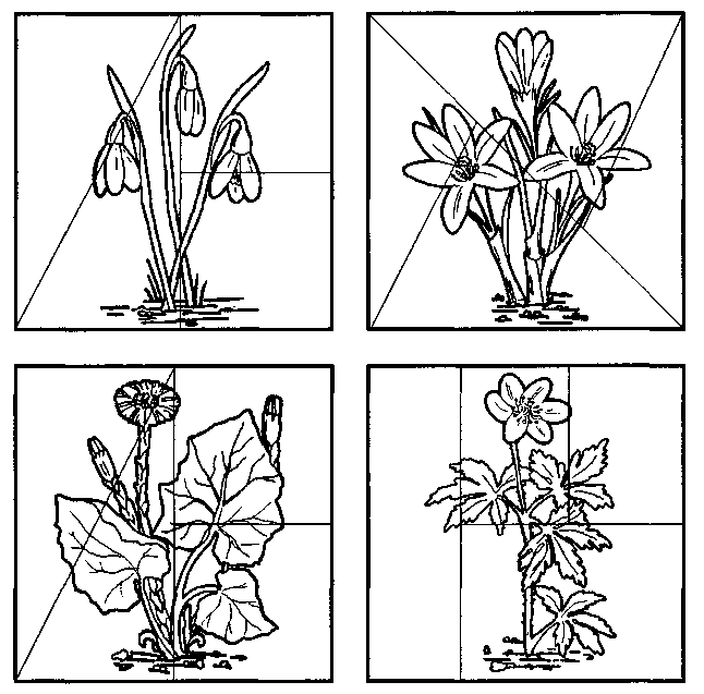 Занятие тема весенние цветы