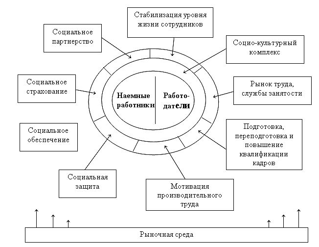 К социальной сфере относятся учреждения. Структура социально трудовой сферы. Социально-Трудовая сфера предприятия. Социально-Трудовая сфера элементы. Организации социально-трудовой сферы это.