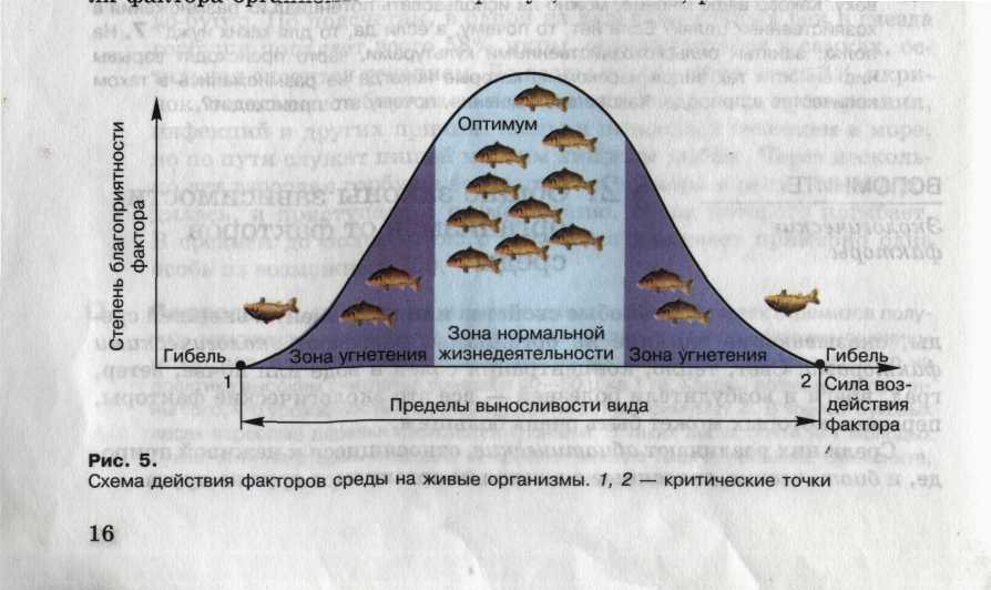 Рассмотрите рисунки назовите причины угнетения роста и гибели растений выразите