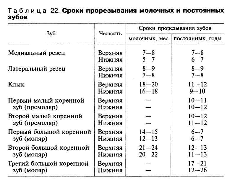 Периоды роста челюстей