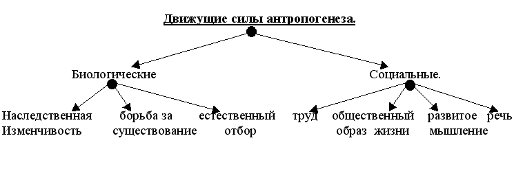 Факторы антропогенеза человека. Схема движущие силы антропогенеза. Факторы антропогенеза схема. Схема движущие факторы антропогенеза. Факторы антропогенеза биологические и социальные схема.