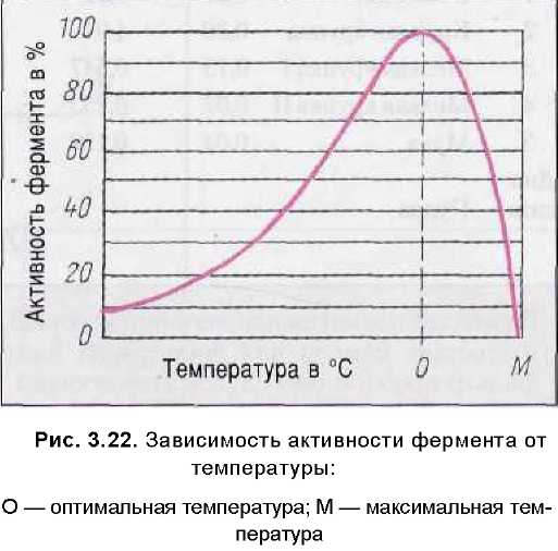 Изучите график зависимости выработки фермента. Зависимость ферментативной активности амилазы от температуры. График зависимости активности ферментов от температуры. Зависимость активности ферментов от температуры. Зависимость активности ферментов график.