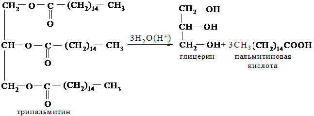 Гидролиз трипальмитата. Триглицерид пальмитиновой кислоты. Реакция образования трипальмитина. Пальмитиновая кислота и глицерин. Формула трипальмитата глицерина.