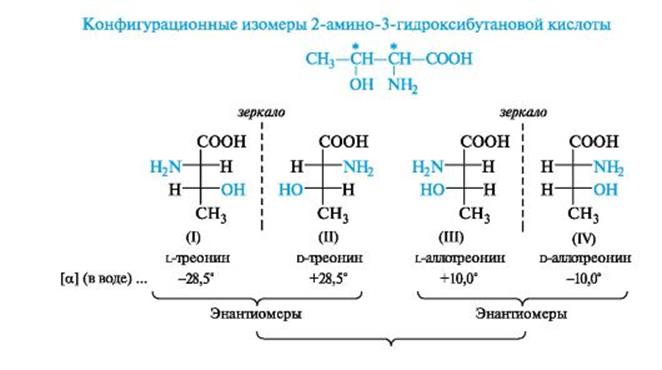 D изомерия. 2 Амино 3 гидроксибутановая кислота формула Фишера. Треонин (2-Амино-3-гидроксибутановая кислота). 2 Гидроксибутановая кислота формула Фишера. Оптические изомеры 3-гидроксибутановой кислоты.