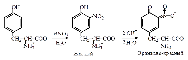 Фенилаланин азотная. Ксантопротеиновая реакция фенилаланина. Реакция фенилаланина с азотистой кислотой. Фенилаланин и азотная кислота реакция. Тирозин и азотная кислота.
