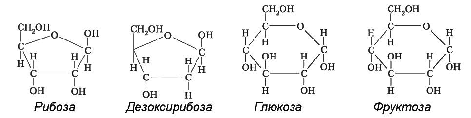 Рибоза дезоксирибоза глюкоза фруктоза